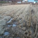 길상면-1 이미지