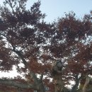 고방 마을회관 | 한다리마을, 영조대왕 계비 정순왕후 생가를 찾아서 - 해풍회 풍수답산