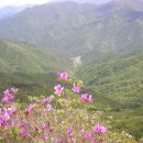 여도중학교 이미지