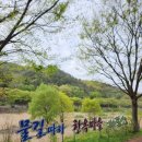 대성대여소 이미지