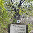 🎋가야산 칠불봉 /상왕봉 이미지