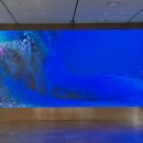 안국3층약국 이미지