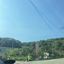 피사모아 이미지