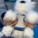 금주김장마을 | 11월 (2)