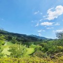 정성천 | 자연속에서 즐기는 포천 샴발라cc~~