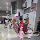 2024년 7월 셋째 주 포토덤프