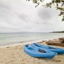 momo house(모모하우스) 이미지