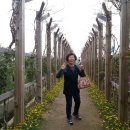 송현공원 이미지