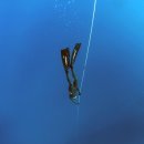 문희수잠수교실 | SCUBA Diving 스쿠버다이빙의 매력 - 사람들에게 잘 알려지지 않은 바닷 속 세계여행지