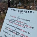 45 | 용인 애견카페 테일45 내돈내산 후기(초보 강쥐이모에오..)