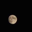 휘닉스평창 사우나 이미지