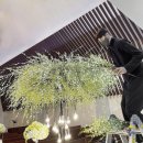 꽃길이어라(플라워디자인) 이미지