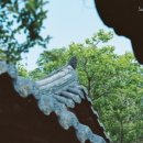 노고마주 이미지