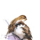 Two Sparrows In A Hurricane - Tanya Tucker 이미지