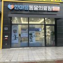 안성의료원 | 안성 공도 한마음동물의료원 강아지 건강검진 후기