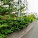 역곡로20번길 이미지