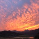 영월민박 서강1803 이미지