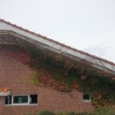 생태숲민박 이미지