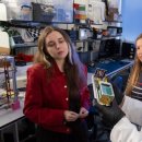 XR Art Str 이미지