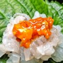 작은어촌 - 성남시 분당구 미금일로74번길 29-4 | 작은어촌