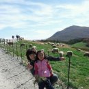 나영목장 이미지