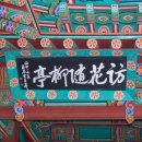 수원-1740 네이버블로그