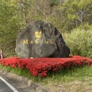 엠스클럽의성 이미지