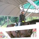 울산EDA승마장 이미지