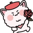 강남애니포스