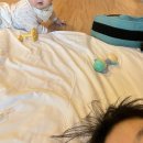 1002 | 7개월 아기랑 삼척쏠비치 리조트 불만족후기 A동 1002