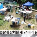 그늘막74 이미지