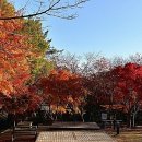 가마미야영장 이미지