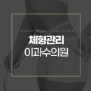 바디라인 이미지