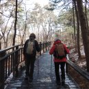 관악산 무장애숲길 이미지