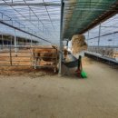 동선축사 이미지