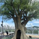 이응다리 산책로 이미지