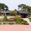 오죽헌주유소 이미지
