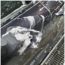 브리즈코리아 대구점 이미지