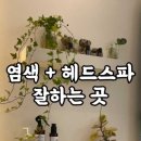 오정헤드 이미지