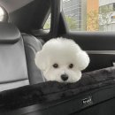 [1jpw] 회피를 위한 회피성 행동들에 관하여 2