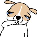 장기하와 얼굴들 술탄오브더디스코 콘서트 | [ 공연 ] 감동 실화.. 봉제인간 콘서트에 다녀오다