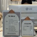 랙돌카페냐옹 이미지