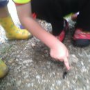 깨금발어린이집 이미지