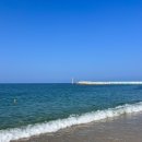 영진을 담다 이미지