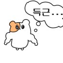 두근 두근 클래식 음악 여행 이미지