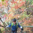 광석1리 | 청량산[높이870M- 경북봉화] 백두산악회221022