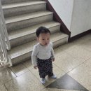 슬기농장 2 이미지