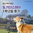 도기도기펜션 | [충남 애견 펜션] 도기더스테이 2박 3일 후기!