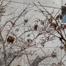 이산책판도서관 이미지
