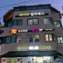 피어리필라테스 | 홍대 필라테스 추천 피어리필라테스 수업 후기